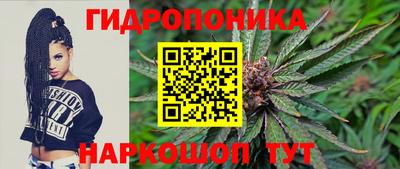 прущие грибы Балаково