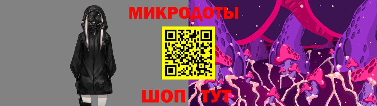 Галлюциногенные грибы прущие грибы Великий Новгород